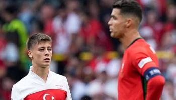 الحشرات تهاجم بطولة اليورو بألمانيا 