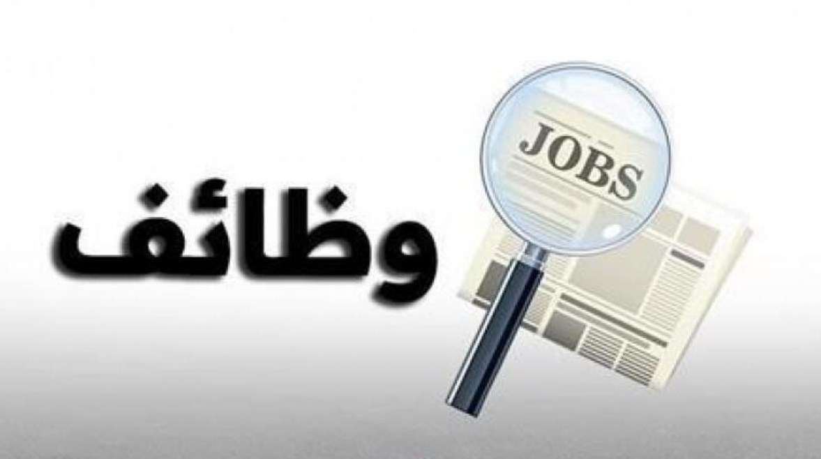 وزارة العمل: 4962 فرصة عمل جديدة فى 94 شركة خاصة تنتظر شباب 18 محافظة