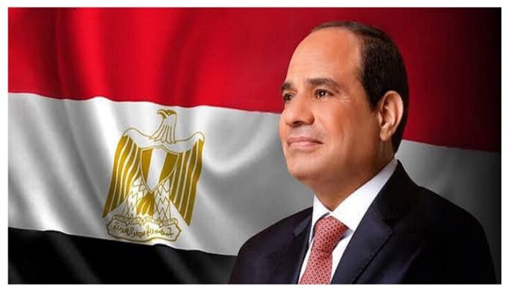 الرئيس يبحث مع مؤسسة التمويل الدولية تعزيز التدفقات الاستثمارية لمصر
