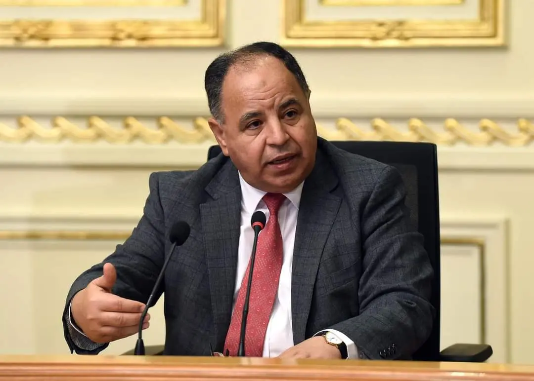 المالية: الإفراج عن 25 ألف سيارة مستوردة للمصريين بالخارج