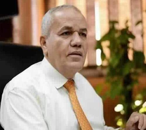 تكليف المهندس صلاح عزت بالقيام باعمال رئيس الشركة المصرية لنقل الكهرباء