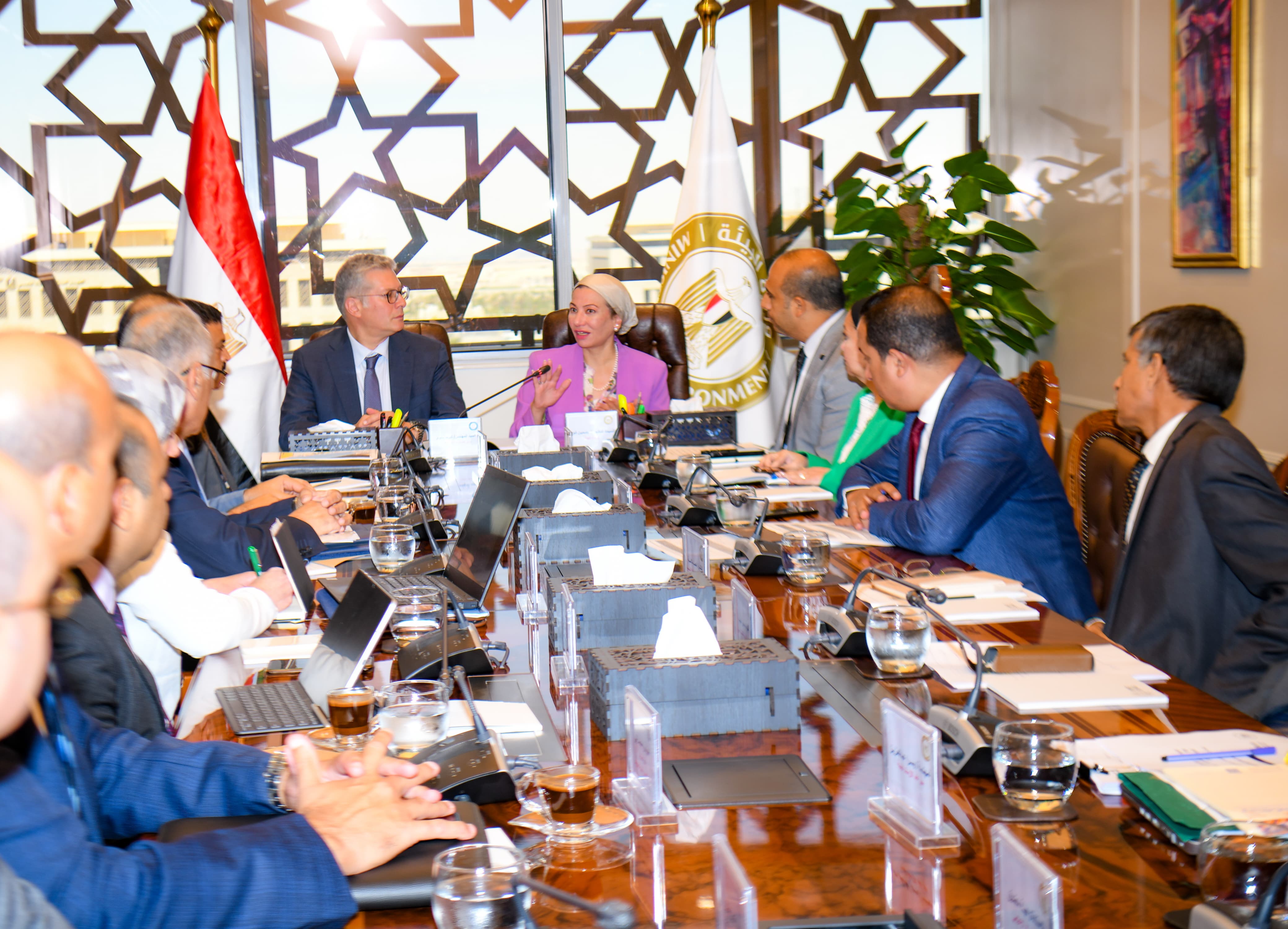 بدوى : التنسيق مع 