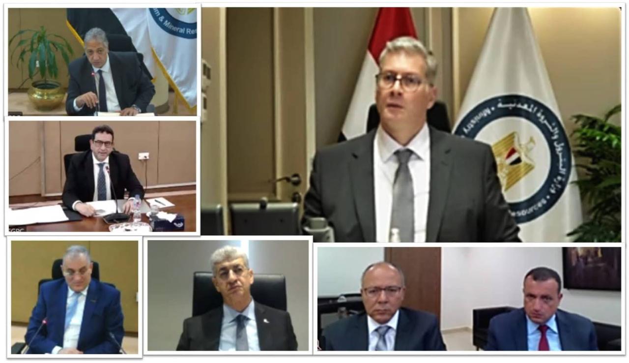 أنشطة و فروع جديدة خارج مصر لشركة  (PMS)