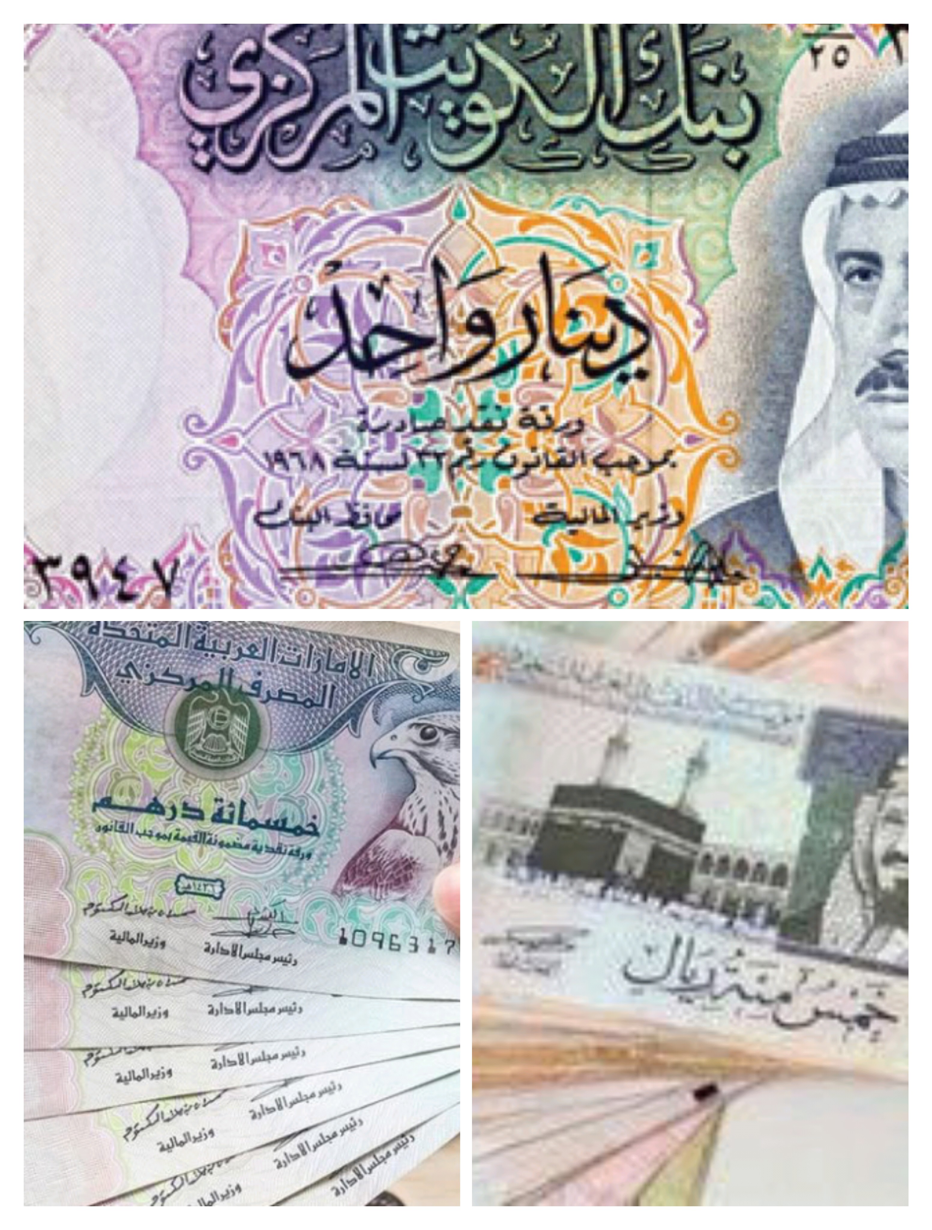 أسعار العملات العربية اليوم 25 مايو 2024 