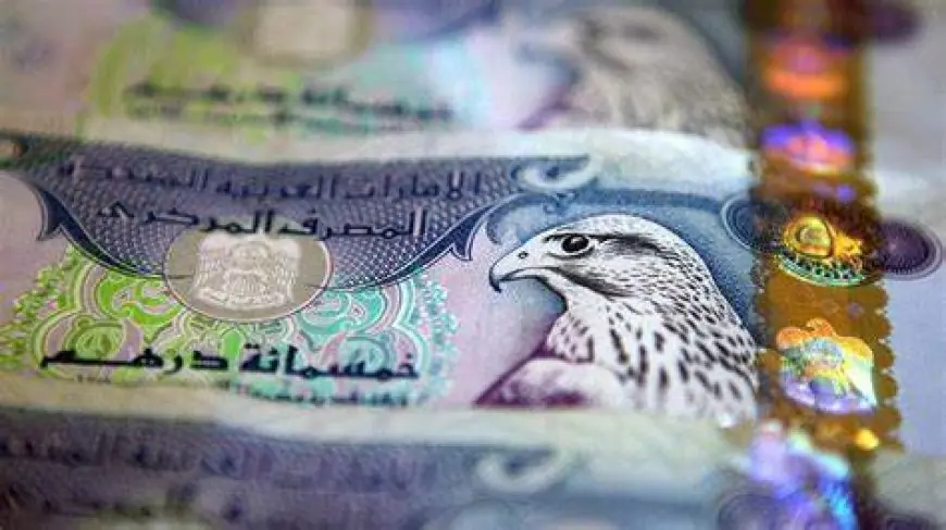 سعر الدرهم الإماراتى اليوم الجمعة 9-8-2024