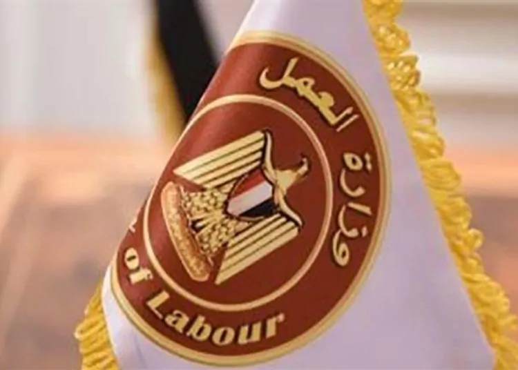 وزارة العمل تعلن 500 فرصة عمل براتب 8600 جنيه في كبرى شركات ضفائر السيارات