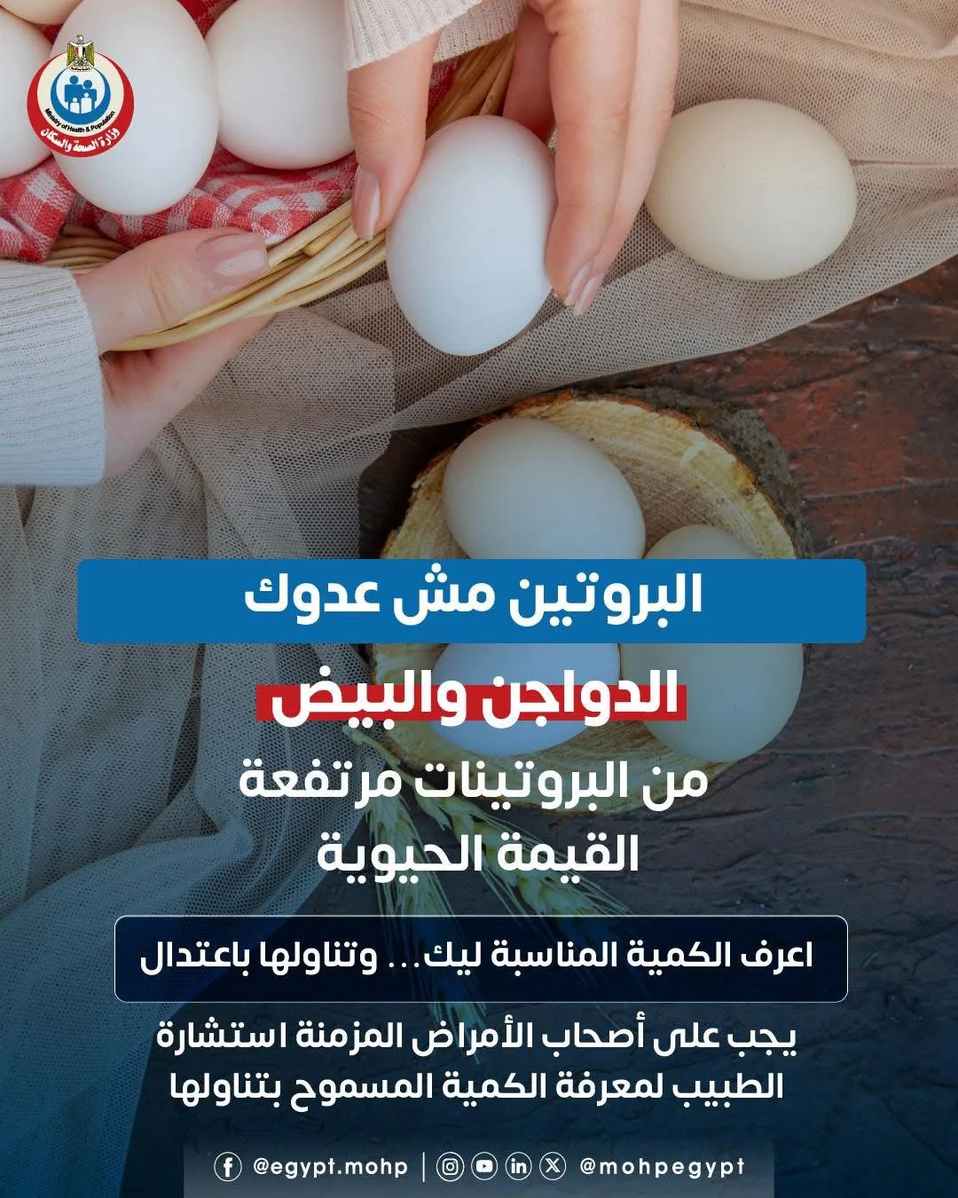 «الصحة» توضح فوائد البيض والدواجن والكميات المناسبة لتناولها (تفاصيل)