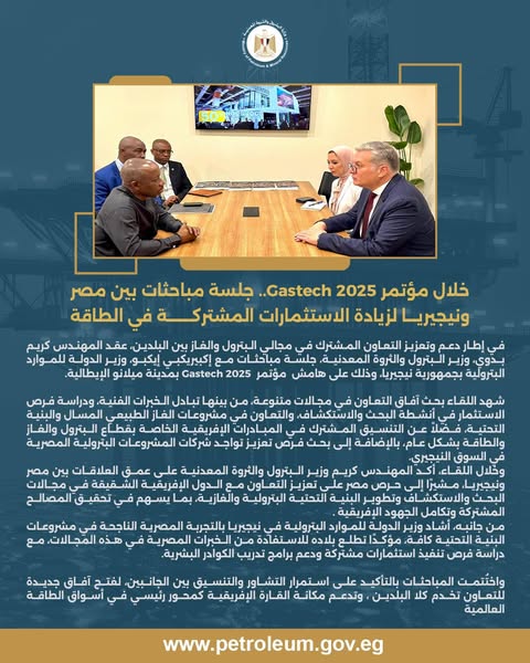 مصر ونيجيريا تبحثان زيادة الاستثمارات المشتركة في الطاقة