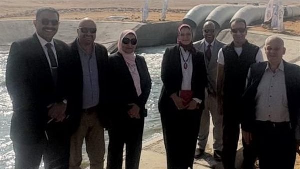 الكهرباء : محطة مزارع بني سويف بقدرة 150 ميجا تدخل مراحل التنفيذ النهائية