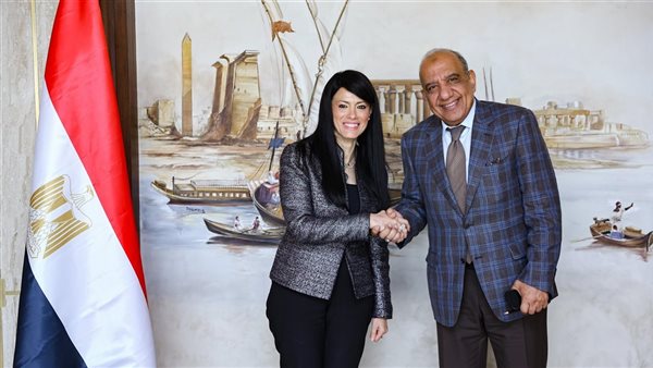 وزارة التخطيط تمول شبكة الكهرباء في مصر بـ 202 مليون يورو 