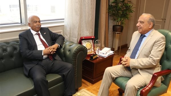 السودان تستعين بالخبرة المصرية بمجالات تأهيل الشبكات الكهربائية