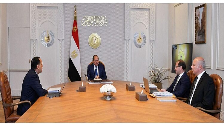 وزير المالية يعرض على الرئيس السيسي مقترحات زيادة الأجور 