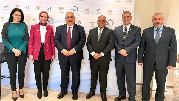 مصر وقبرص تبحثان التعاون في مشروعات الغاز الطبيعي 