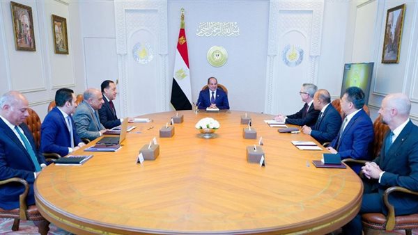 الرئيس يؤكد اهتمام الدولة بتعزيز الشراكات العالمية لتوليد الطاقة المتجددة