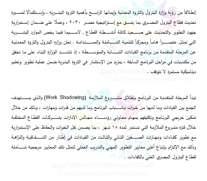تكليف معاونين لرؤساء شركات قطاع البترول