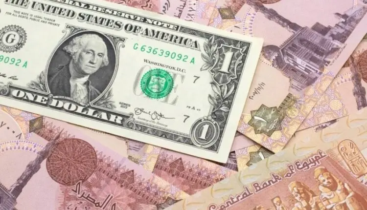 الدولار يهبط تحت 50 جنيهاً لأول مرة منذ 3 أشهر ونصف