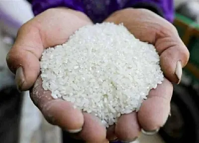 أسعار الأرز في الأسواق اليوم السبت 27 يونيو 
