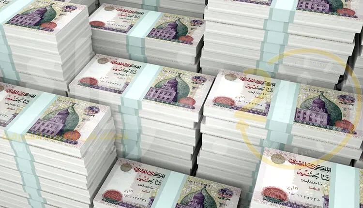 المالية تعلن موعد صرف مرتبات شهر يوليو بعد الزيادة