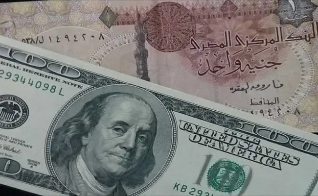 أعلى سعر للدولار عند 50.25 جنيهاً الأربعاء 12-8-2026