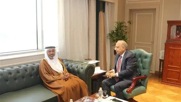 وزير الكهرباء: الشركات الإماراتية شريك نجاح في خطة الدولة للتحول الطاقي 