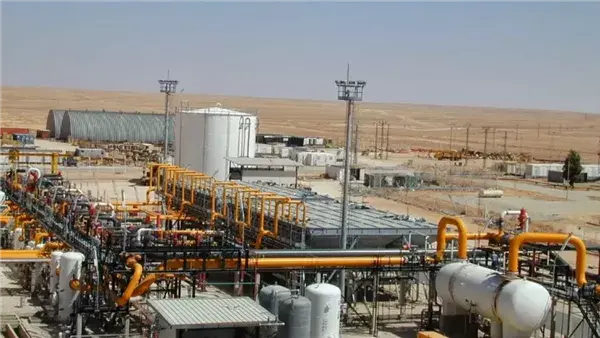 الحكومة تتلقى 3 عروض لإنشاء أول وحدة تغييز برية بطاقة مليار قدم مكعبة يوميًا
