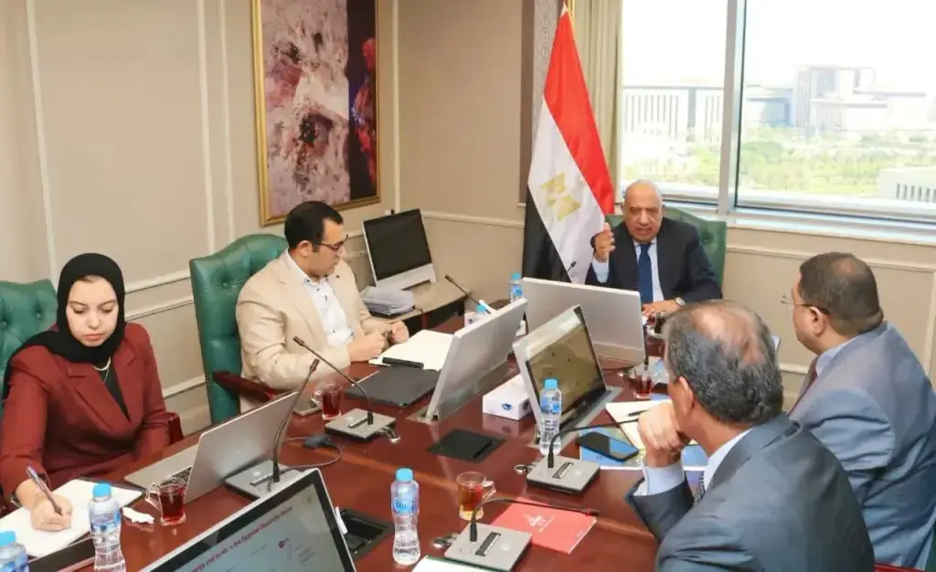 "عصمت" يتابع خطة التحرير التدريجي لسوق الكهرباء مع "نكسوس أنالاتيكا"