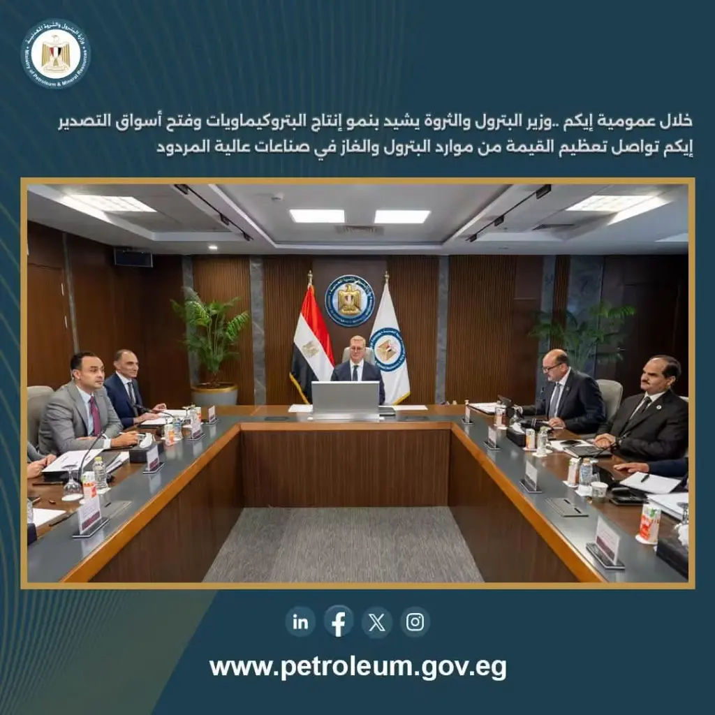 بدوي: 1.6 مليار دولار حجم القيمة المضافة من استخدام الغاز والبترول بصناعة البتروكيماويات