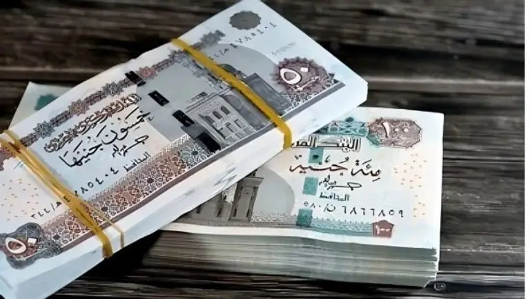 المالية تعلن مواعيد صرف مرتبات أكتوبر ونوفمبر وديسمبر للعاملين بالحكومة