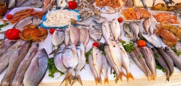 أسعار الأسماك اليوم الجمعة 11 أكتوبر 2024