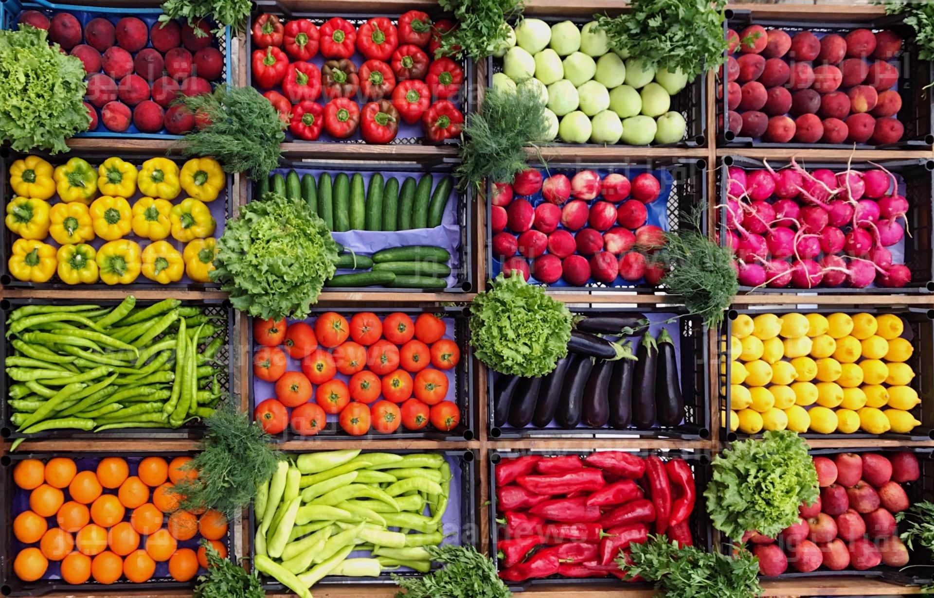 أسعار الخضراوات والفاكهة اليوم الجمعة 4 أكتوبر 2024