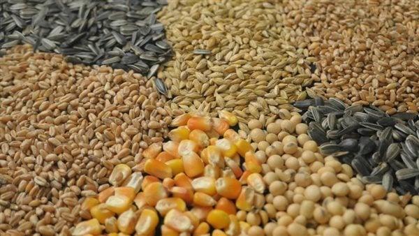 تراجع كبير في أسعار الأعلاف