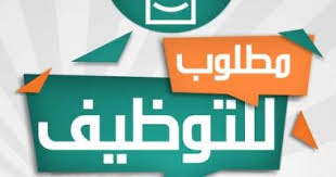 وزارة الشباب : متاح فرص عمل في 12محافظة (إعرف التفاصيل) 