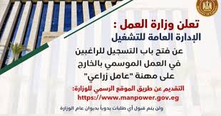 رابط وخطوات التقديم لوظائف وزارة العمل خارج مصر